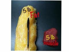 5 pounds of fat beside 5 pounds of muscle.Doesn't this prove that the number on the scale means nothing!! Pay attention to how your clothes fit and HOW YOU FEEL!!